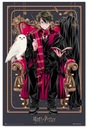 Harry Potter Čarodejnícka dynastia Harry - plagát 61x91,5