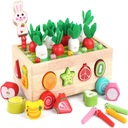 LOGICKÁ HRA TRIEĎOVAČ MRKVY KRÁLIEK MONTESSORI