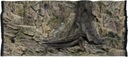 ATG Background Standard 120x60 cm Rock Root