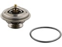 TERMOSTAT VW CRAFTER I 2.5