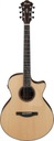 Elektro gitara Ibanez AE325-LGS Natural Low Gloss