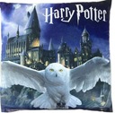 HARRY POTTER Detský dekoračný vankúšik s vreckom na pyžamko.Originál