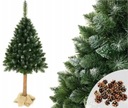Vianočný stromček Borovica Diamond 3D na kmeni 180 cm Sneh Br