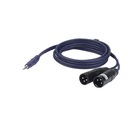 DAP FL46 - stereo mini Jack > 2 XLR/M 3 strany 6 m