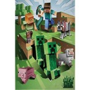 DEKA Fleecová deka MINECRAFT pléd 100x150 cm