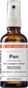 Pán