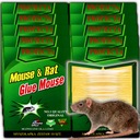10x BUZZRAP LEP PAW PASCA NA MYŠI POKANY