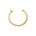 PIERCING O-krúžok na nos zlatý Oring Nosril Nos TYTAN 1.0/8