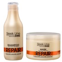 STAPIZ SADA PRE POŠKODENÉ VLASY ŠAMPÓN LESK 300ML + MASKA 250ML