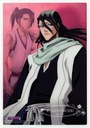 Anime Manga Bleach blh_027 A2 (custom) Plagát