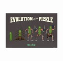 Plagát Maxi Evolution of Pickle - Rick and Morty