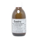 Gastro - tekutý sodík - 250 ml podkovy