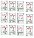 Royal Canin Diabetic Canine Canine 12 x 410 g