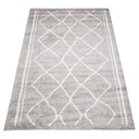 DELHI koberec 120x170 Moderný huňatý Rôzne vzory