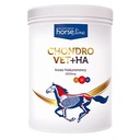 HorseLinePRO ChondroVet+HA 1200g + ZDARMA