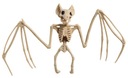 Kostra netopiera Kostra netopiera Halloweenska dekorácia 30 cm.