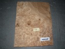 Dyha z kalifornského orecha svetlá 0,11 m2 1 list
