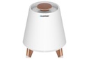 BLUETOOTH REPRODUKTOR S LED OSVETLENÍM BT25LAMP