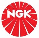 C6HSA 3228 SVIEČKA NGK