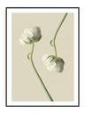 Biele kvety OBRAZ Z PLAKÁTU 21x30 A4
