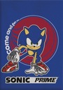 DEKA SONIC 110X150 DO DETSKEJ ŠKOLKY