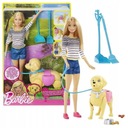 Bábika Barbie Prechádzka so psom Clean + doplnky DWJ68