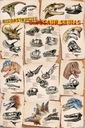 Nástenný plagát Dinosaury 61x91,5 cm