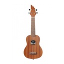 KONCERT UKULELE - FLYCAT C10C CALIFORNIA LACNO!