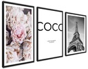 Plagáty Grafika Sada 3 kvetov COCO Paris