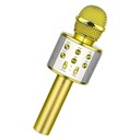 Mikrofónny bluetooth reproduktor DETSKÉ KARAOKE USB ZLATÉ