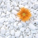 Záhradný kamienkový kameň biely 10-20 mm vrece 5 KG
