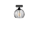DRUCIAK LOFT 20-305 ZÁVESNÉ STROPNÉ LAMP