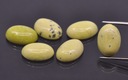 Chita Cabochon (Light) Oval 14x10 mm