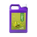 BUBLINOVÝ ČAJ SIRUP 2,5 KG KONCENTRÁT KIWI ŠŤAVY
