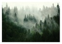 Fototapeta LES V hmle, stromy, výhľad na hory, 368x254