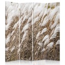 Obojstranná obrazovka, Pampas grass - 145x170