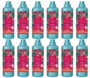Tesori d'Oriente Ayurveda na oplachovanie 12x760ml IT