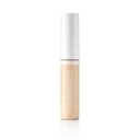 Paese Run For Cover Concealer