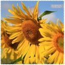 Albinex 50.024-8 utierka na okuliare VEĽKÁ 30x30 cm