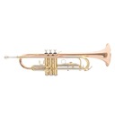 Roy Benson Trumpet oblečený ako Bb TR-202G