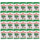ROYAL CANIN SHN Mini Aging 12 24x85g