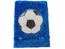 DENNÍKOVÝ ZÁPISNÍK chlpatý FUTBAL