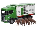 Bruder 03548 Scania na prepravu zvierat so štyrmi kravami