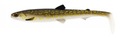 Šťuka Westin BullTeez Shadtail 18cm 53g