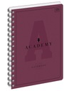 Zápisník A5 so 100 štvorcovými listami ACADEMY mix (99307)