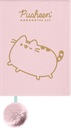 NOTEBOOK PLYŠOVÝ NOTEBOOK A5/96K PUSHEEN