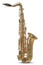CONN Alto Saxofón Eb pre deti AS655