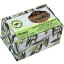ALEPPO LAUREL MYDLO 50% MARWAN NAJJAR SÝRIA