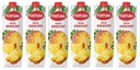 6x 1L FORTUNA nektár ananás BAL