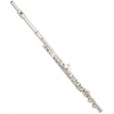 Trevor James 3041-EW priečna flauta